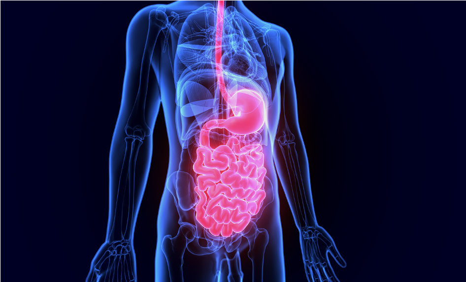 Nutrition And Physical Complaints