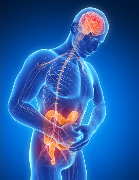 The Scientific Osteopathic Approach To Patients With Abdominal Complaints
