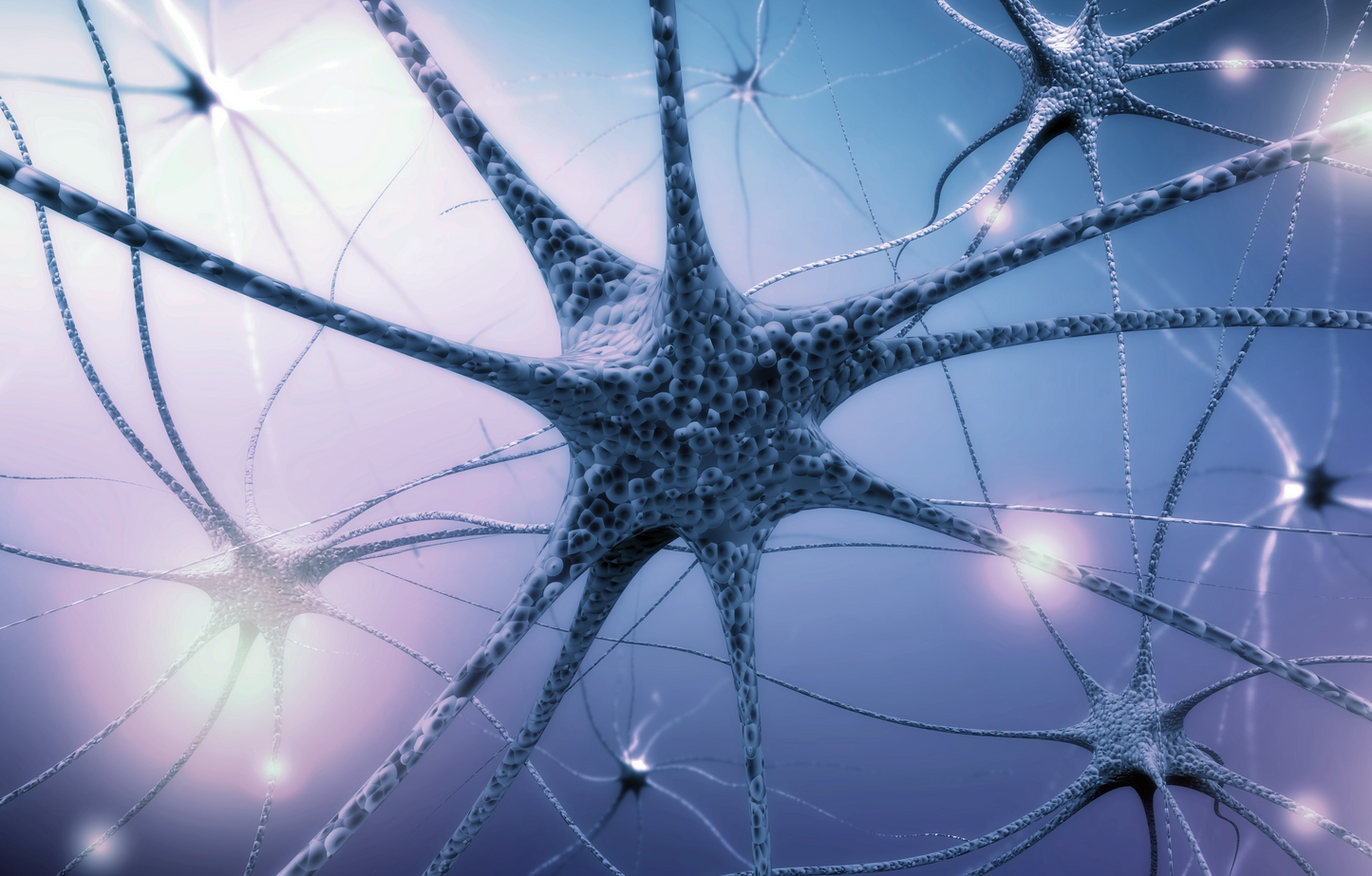 Understanding The Autonomic Nervous System And Its Scientific Osteopathic Approach