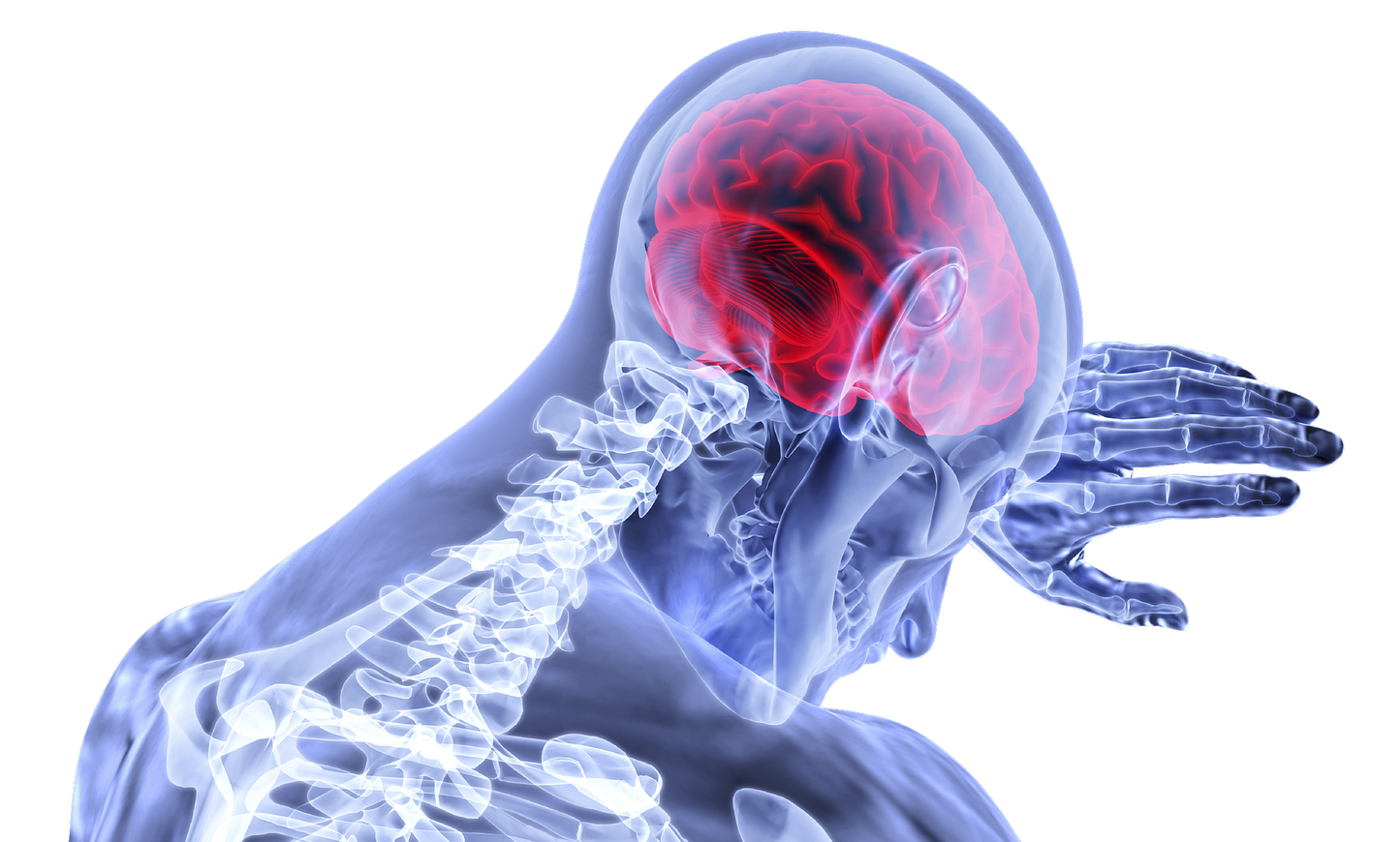 Understanding Pain And The Scientific Osteopathic Approach Of Pain
