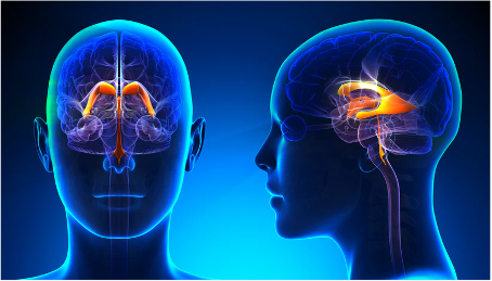 osteopathy cerebrospinal fluid