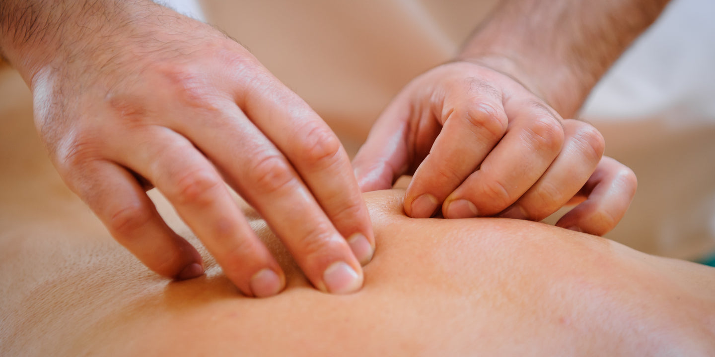 Osteopathy Bundle (All 26 E-books)