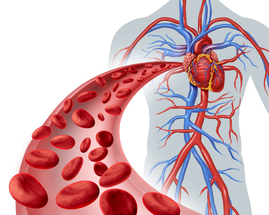 The Scientific Osteopathic Approach To Vascularization And Oxygen Supply In Patients