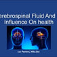 Cerebrospinal Fluid And Its Influence On Health