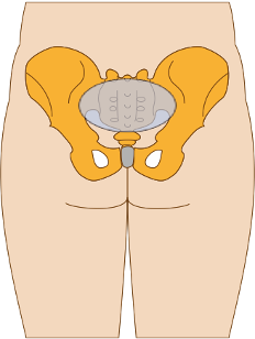 Clinical Case Osteopathybooks