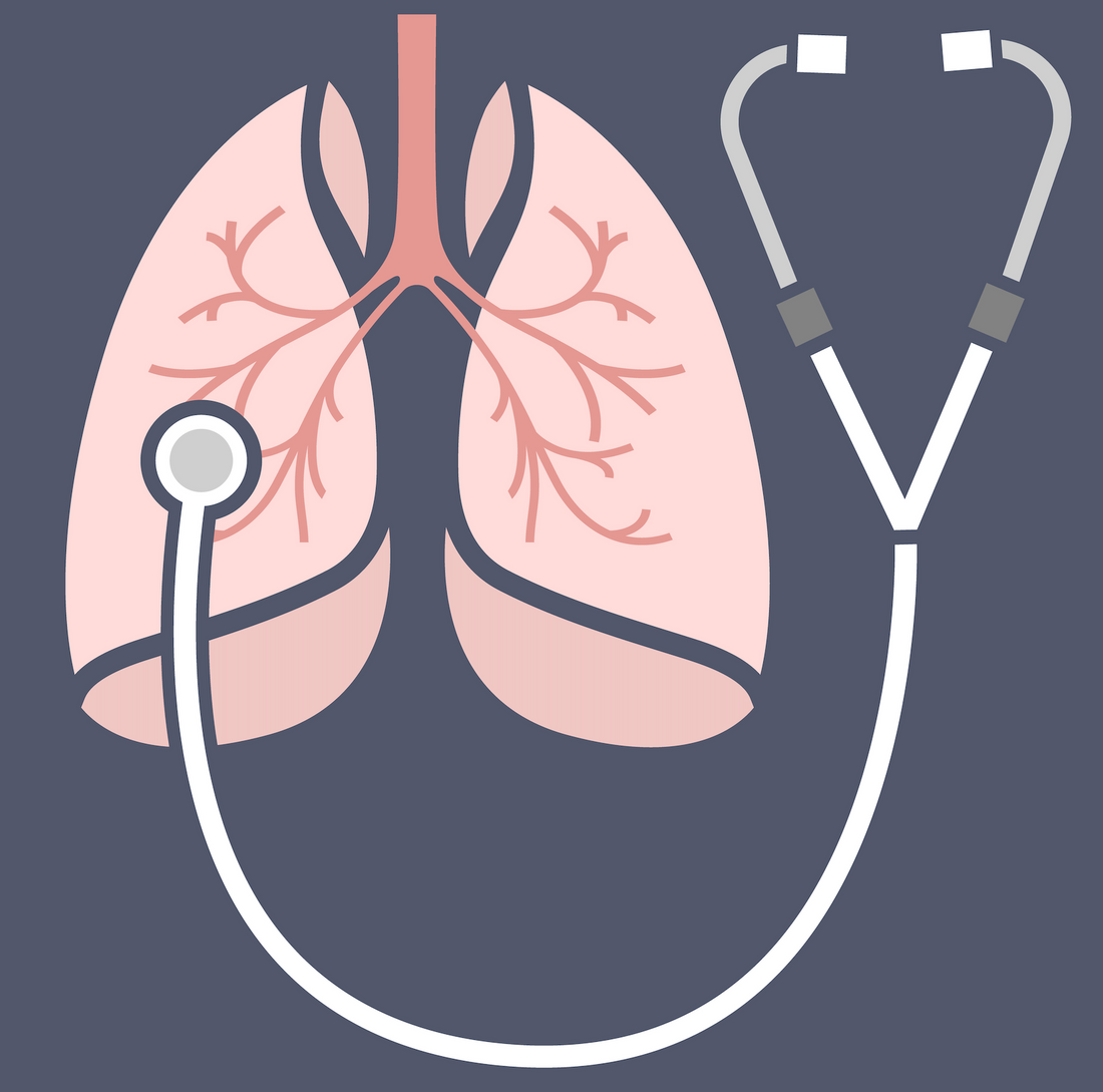 Osteopathy: lung and heart sounds, basics