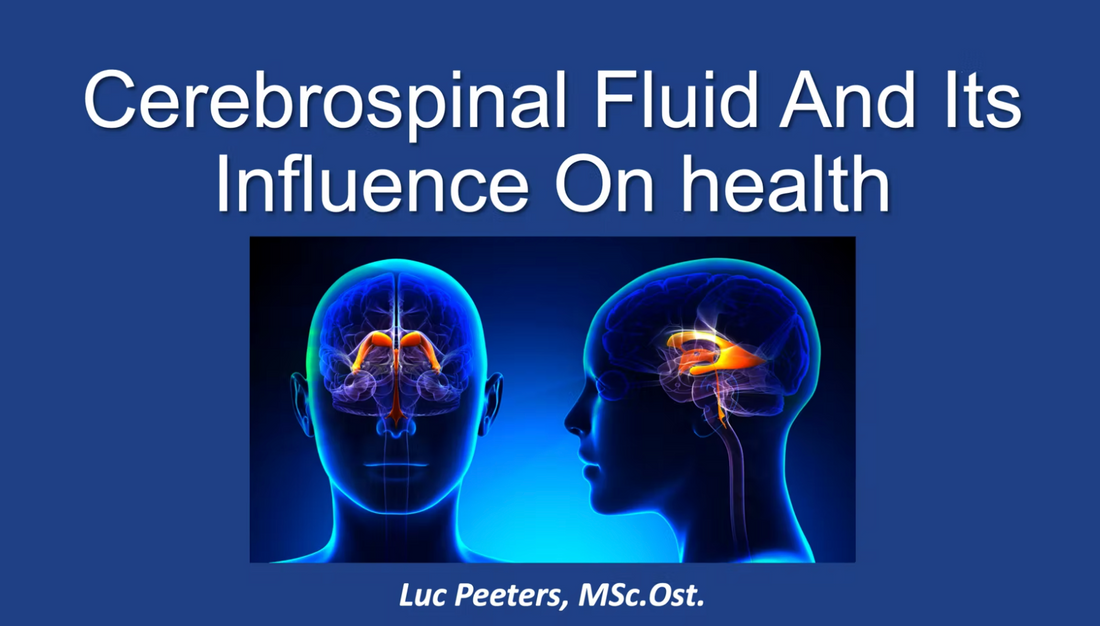Osteopathic influence on the flow of the cerebrospinal fluid (CSF) Osteopathybooks