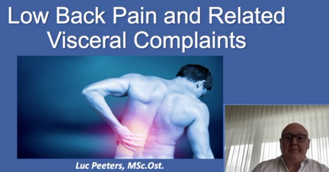 New free video on the relation between low back pain and visceral complaints Osteopathybooks