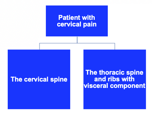 The origin of local cervical pain Osteopathybooks