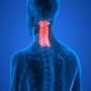 FREE VIEW FOR 1 DAY: The Scientific Osteopathic Approach To Patients With Cervical Pain Course Thinkific 