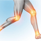 The Scientific Osteopathic Approach To Patients With Knee, Ankle Or Foot Pain Course Thinkific 