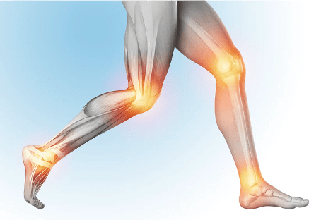 The Scientific Osteopathic Approach To Patients With Knee, Ankle Or Foot Pain Course Thinkific 