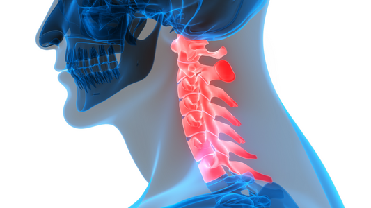 Cervical Proprioception, Postural Reflexes And Neck Pain
