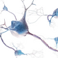 Neuroinflammation and Osteopathy
