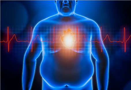 The Scientific Osteopathic Approach To Patients With The Metabolic Syndrome Course Thinkific 