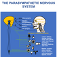 OSTEOPATHY POSTERS FREE USE AND DOWNLOAD