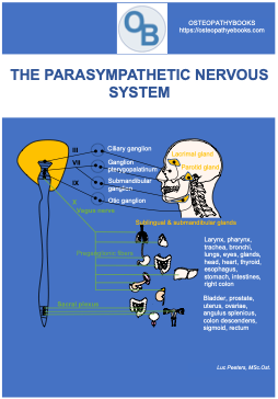 OSTEOPATHY POSTERS FREE USE AND DOWNLOAD