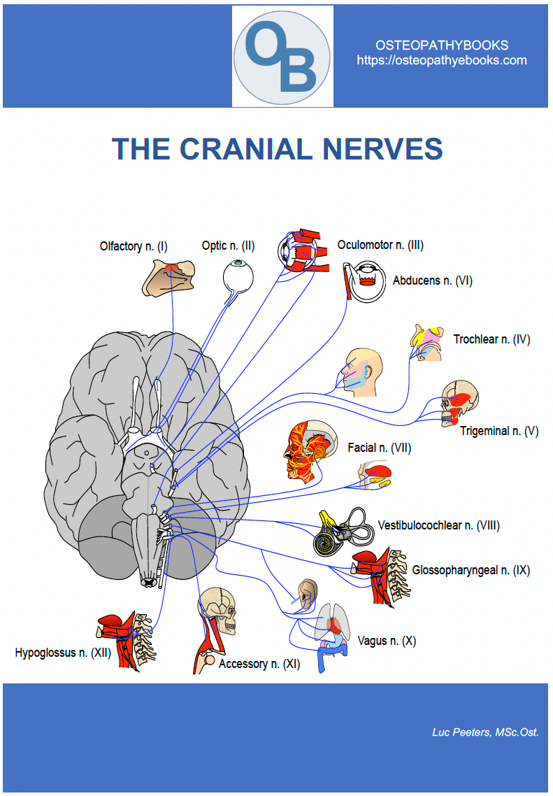 OSTEOPATHY POSTERS FREE USE AND DOWNLOAD