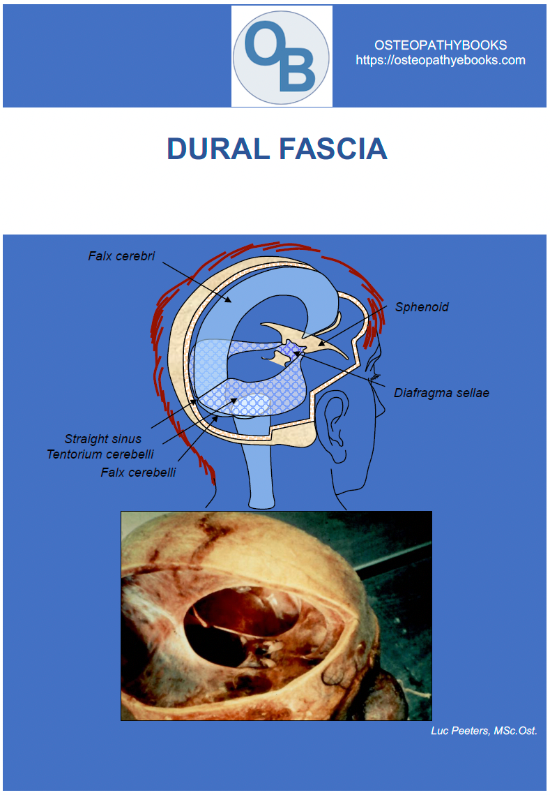 OSTEOPATHY POSTERS FREE USE AND DOWNLOAD