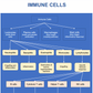 OSTEOPATHY POSTERS FREE USE AND DOWNLOAD