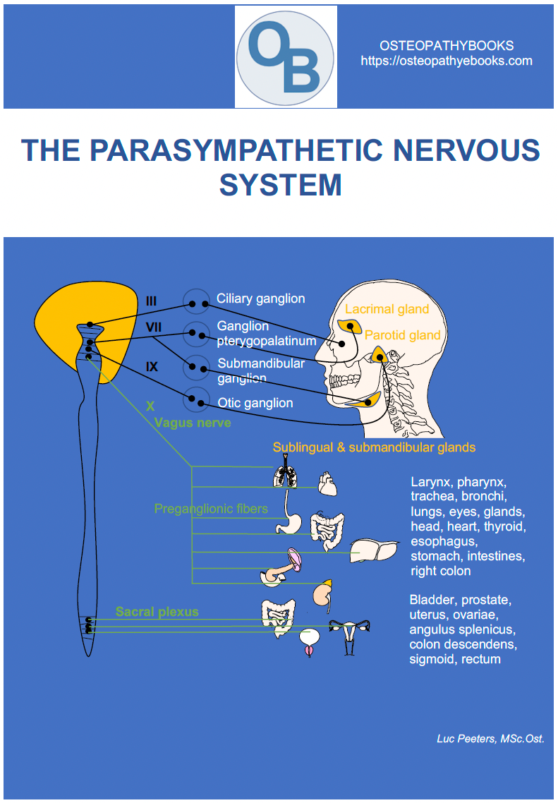 OSTEOPATHY POSTERS FREE USE AND DOWNLOAD