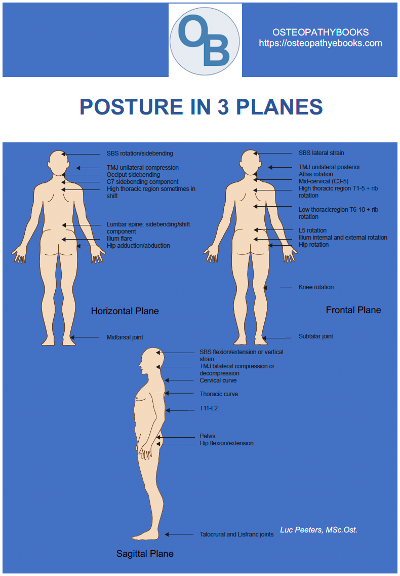 OSTEOPATHY POSTERS FREE USE AND DOWNLOAD