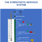OSTEOPATHY POSTERS FREE USE AND DOWNLOAD
