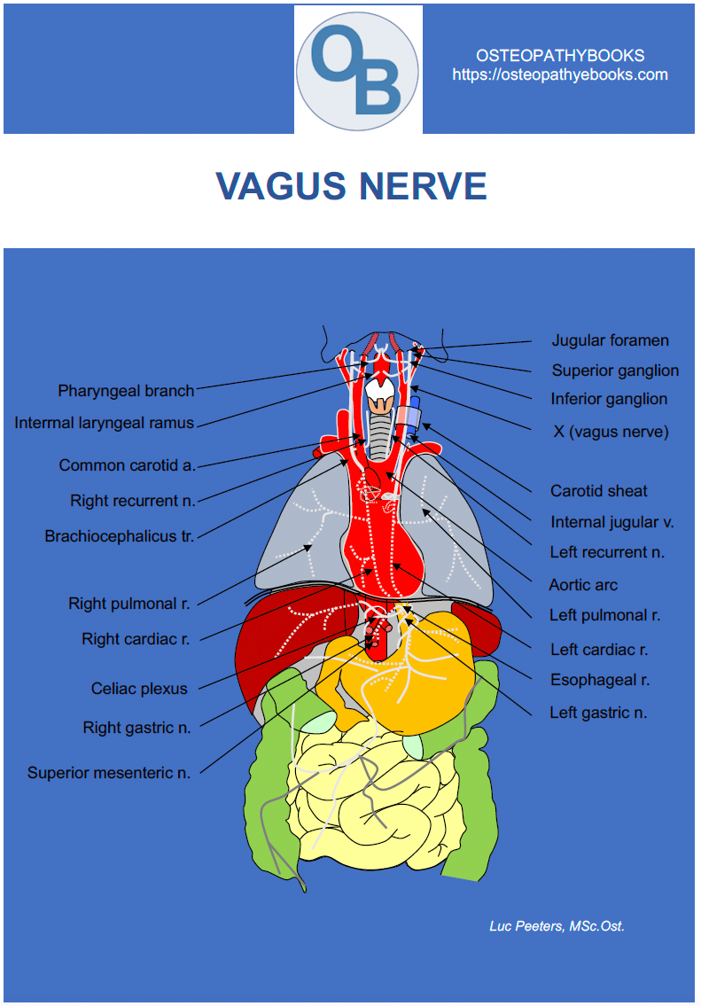 OSTEOPATHY POSTERS FREE USE AND DOWNLOAD