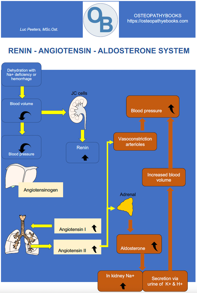 OSTEOPATHY POSTERS FREE USE AND DOWNLOAD