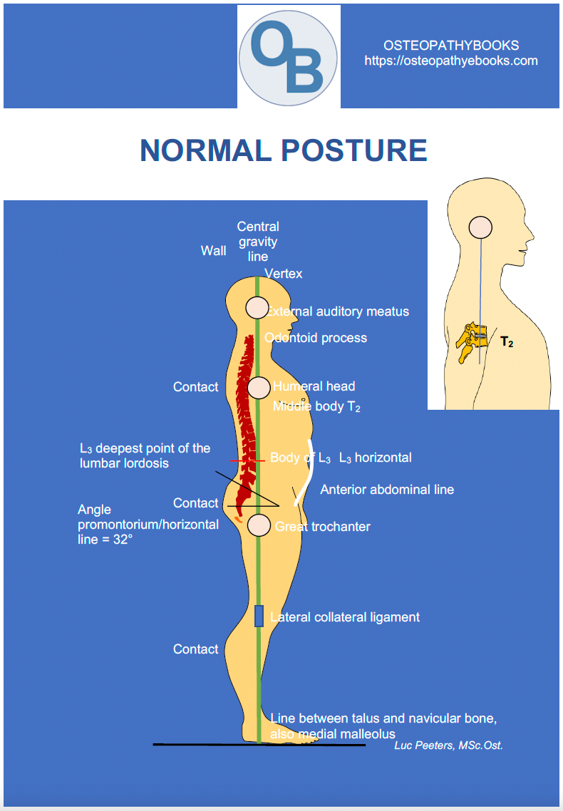 OSTEOPATHY POSTERS FREE USE AND DOWNLOAD