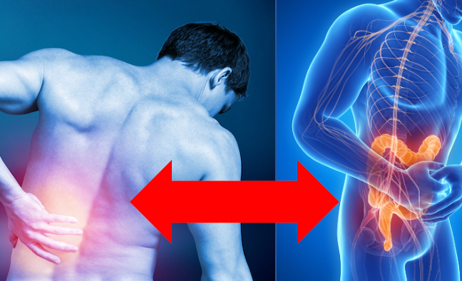 Low Back Pain and Related Visceral Complaints