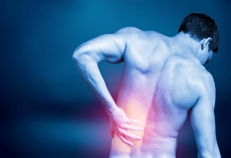 The Scientific Osteopathic Approach To Patients With Low Back Pain Course 